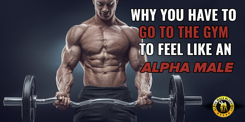 The Alpha M. Weekly Workouts – Alpha M